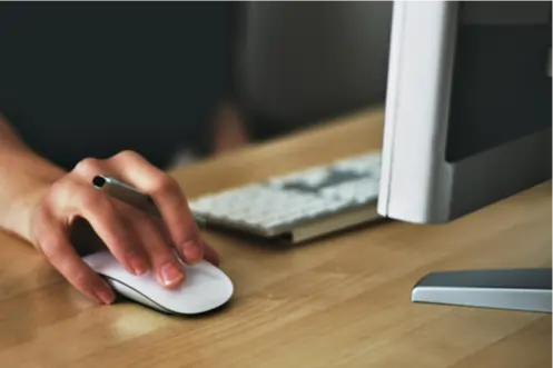 Website Development Services